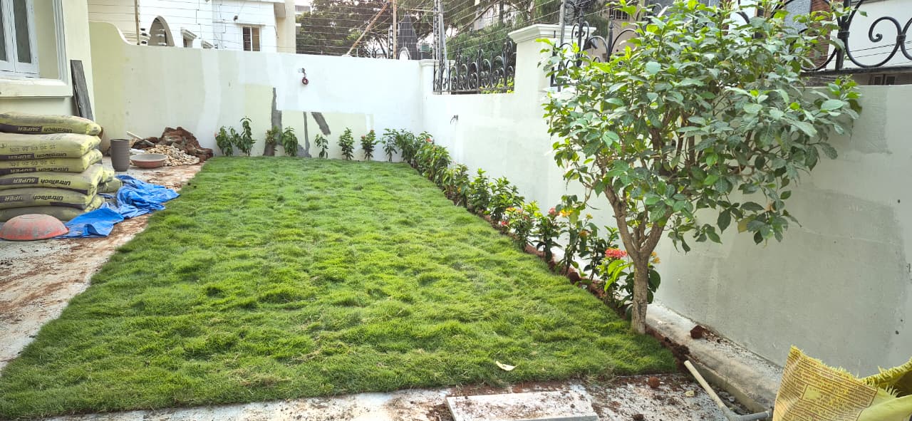 New lawn inside completed
