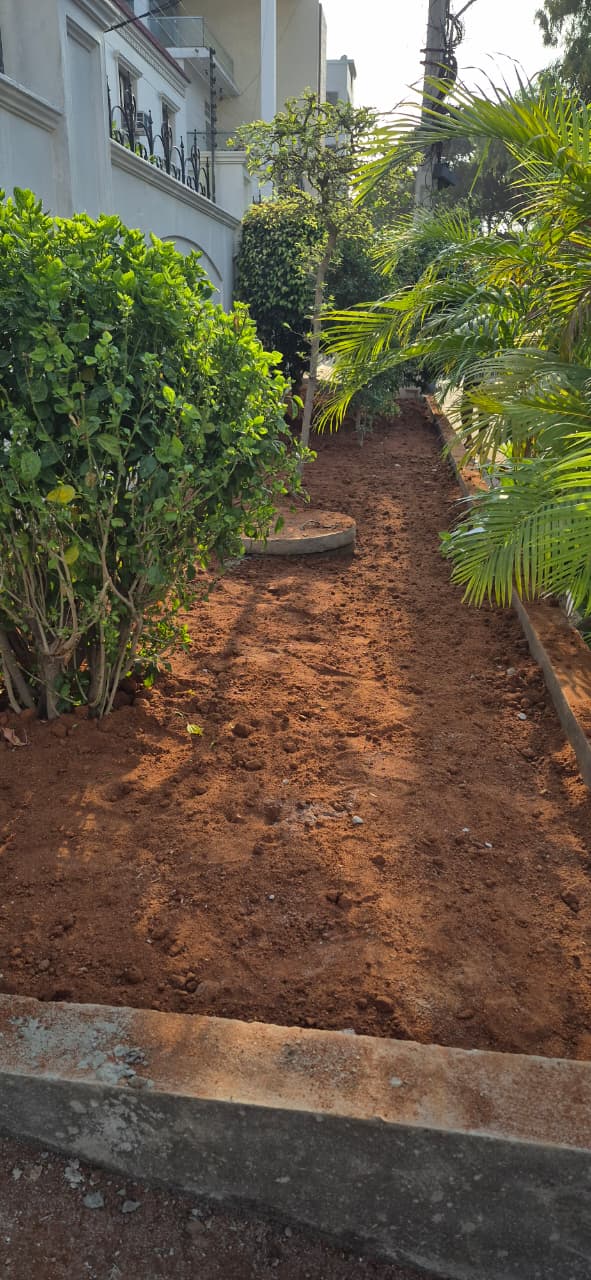 Ground prepared for new lawn