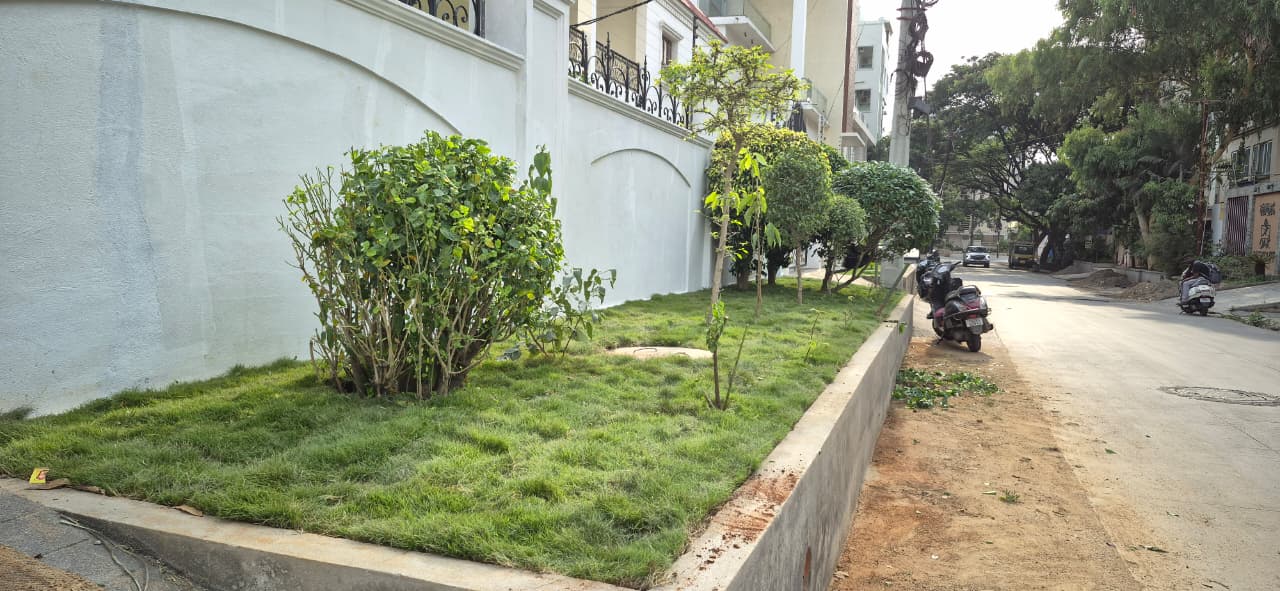Outside new lawn front view